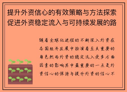 提升外资信心的有效策略与方法探索促进外资稳定流入与可持续发展的路径