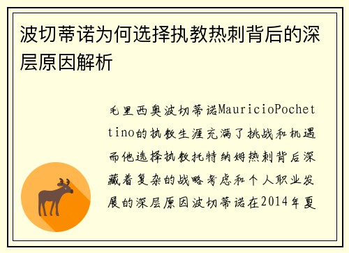 波切蒂诺为何选择执教热刺背后的深层原因解析
