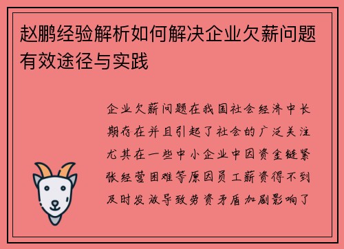 赵鹏经验解析如何解决企业欠薪问题有效途径与实践 赵鹏经验解析如何解决企业欠薪问题有效途径与实践